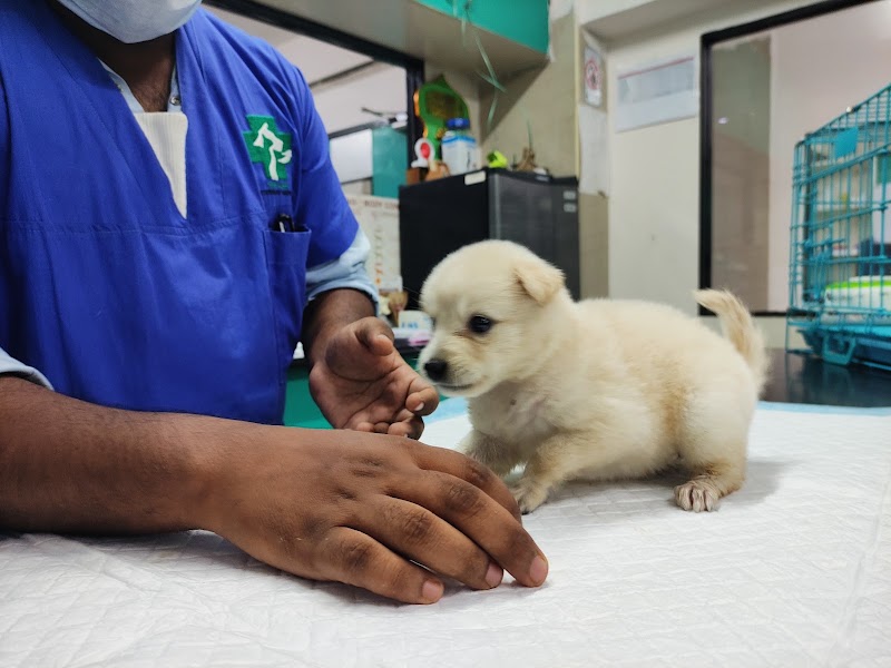 SKS veterinary hospital