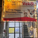Stray Happy Veterinary Clinic
