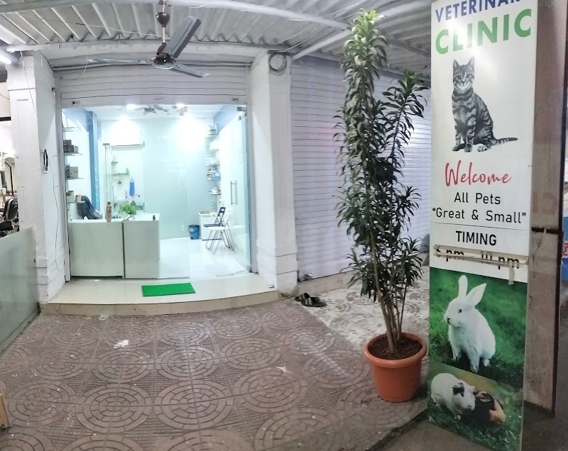 Dr Prashant’s Pet Animal Clinic l Veterinary Clinic – Seawoods Nerul west