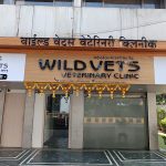 Wild Vets India