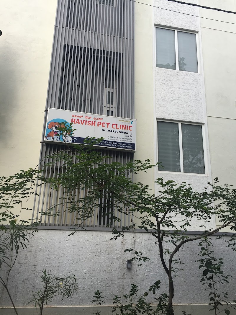 HAVISH PET CLINIC