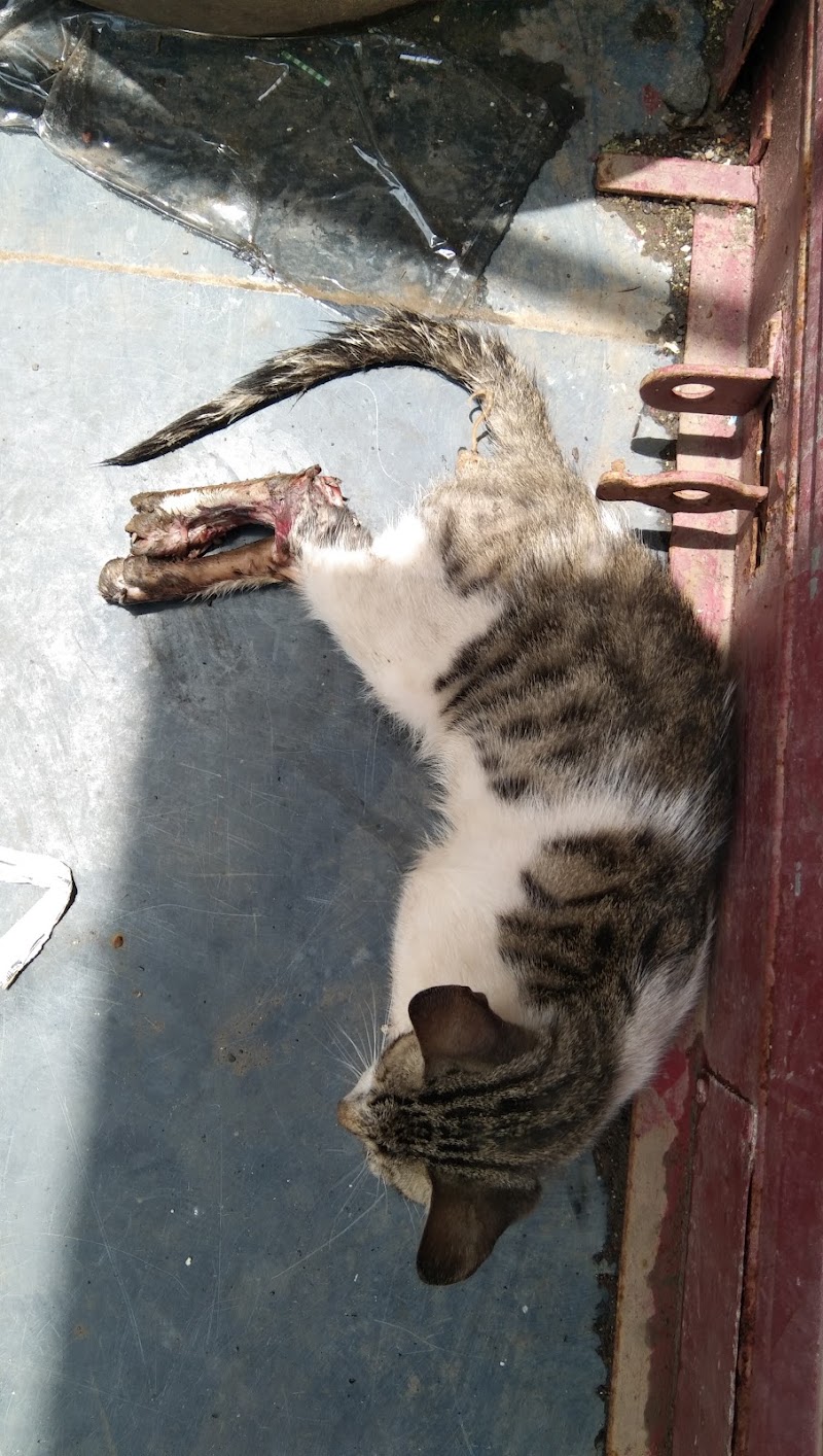 Pashu vaidykiya Kendra
