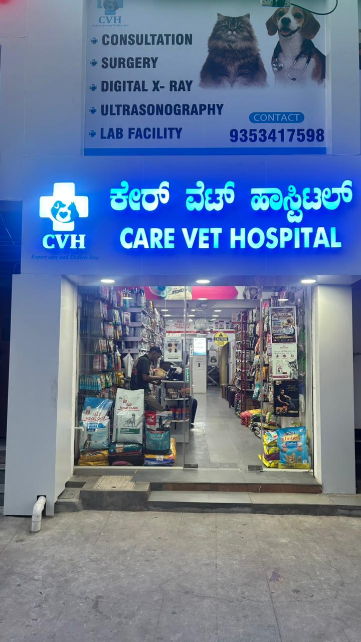 care vet hospital
