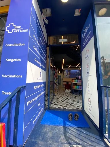 Zigly Pet Care – Vet Clinic, Pet Grooming & Pet Products | JP Nagar, Bengaluru