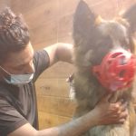 Deep Pet Care