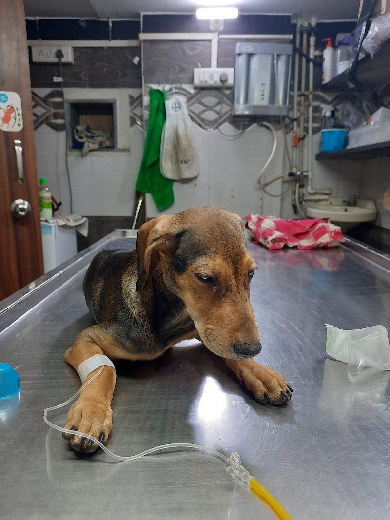 Dr. Karthik’s Pet Animal Clinic