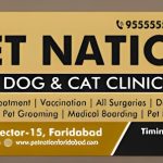 PET NATION
