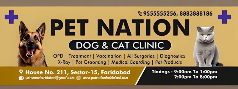 PET NATION