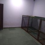 Mutt Polish Pet Clinic & Boarding House