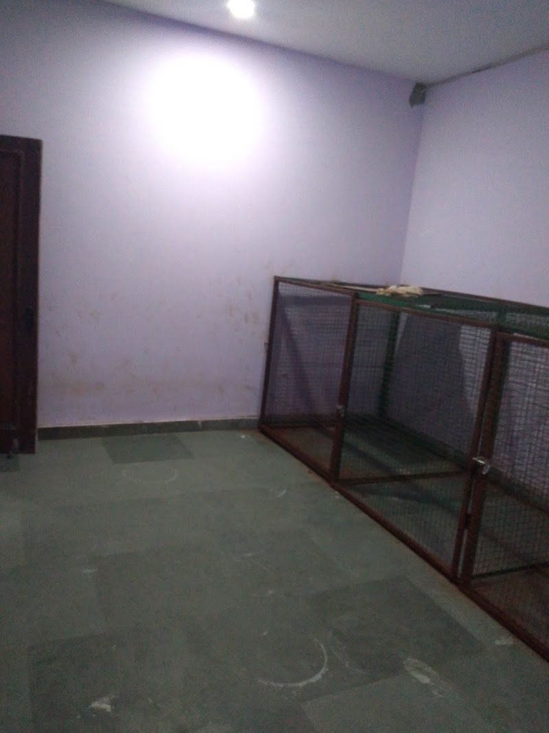 Mutt Polish Pet Clinic & Boarding House