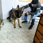 Metro Vetline Intergrated Pet Clinic