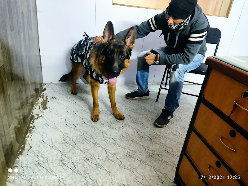 Metro Vetline Intergrated Pet Clinic