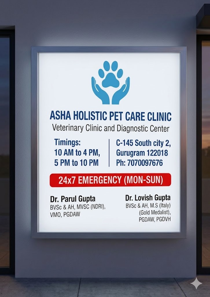 Asha Holistic Pet Care