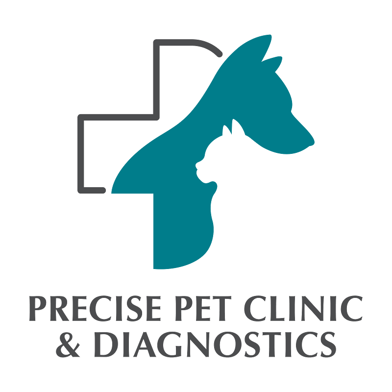 Precise Pet Clinic