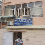 Dog and Cat Clinic , Dr Lalit Mendiratta B.V.Sc , M.I.S.V.S. Established 1988