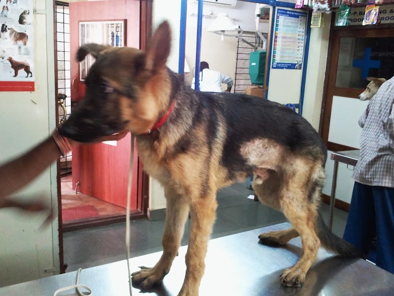 Prakruthi Vet Hospital