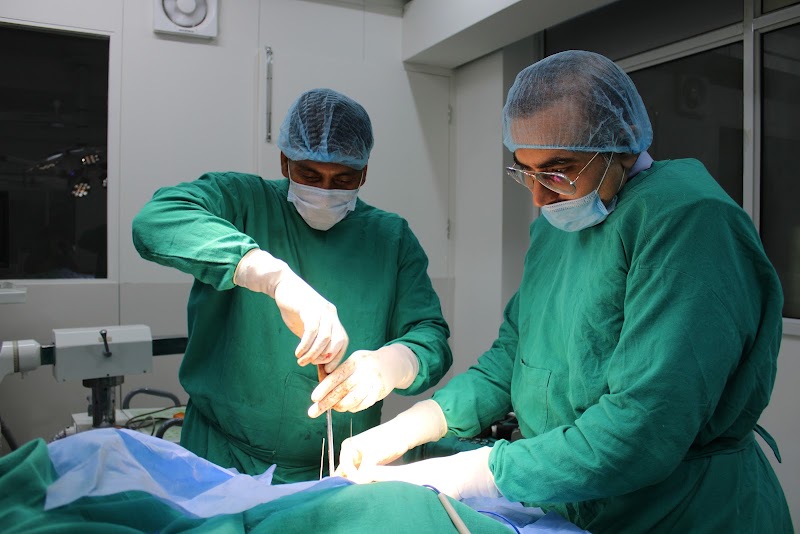 Animalia 24X7 Vet Care