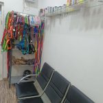 Chandra’s pet clinic