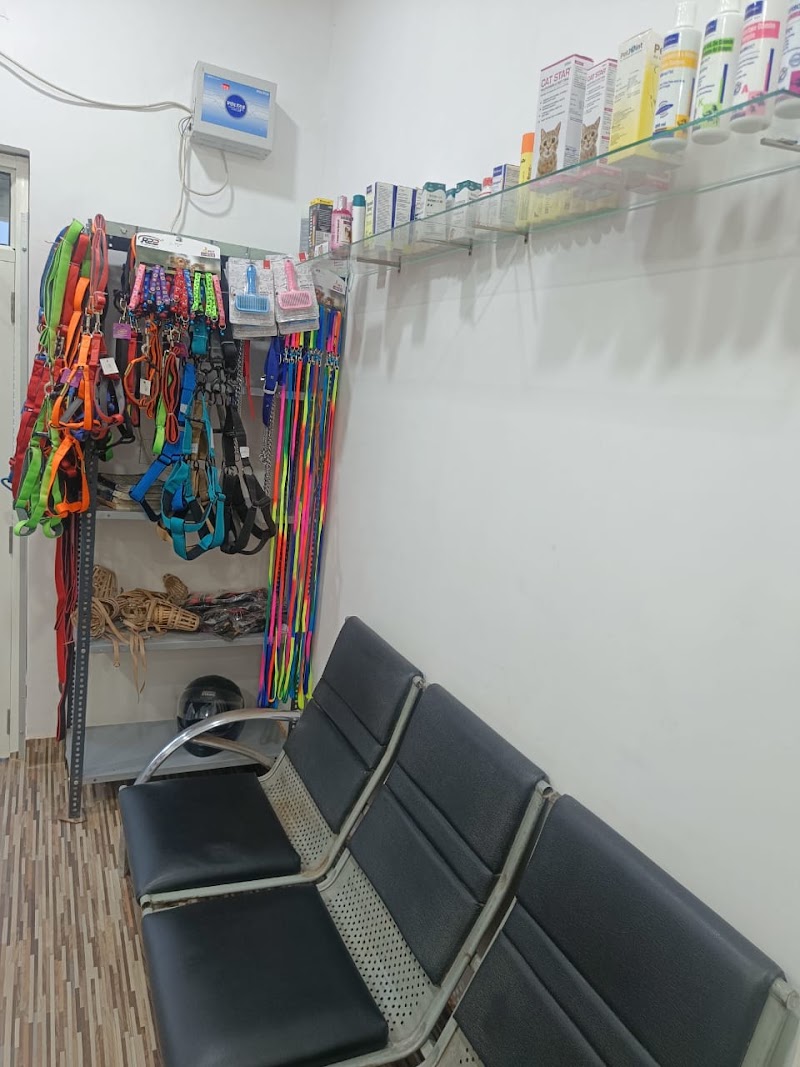 Chandra’s pet clinic
