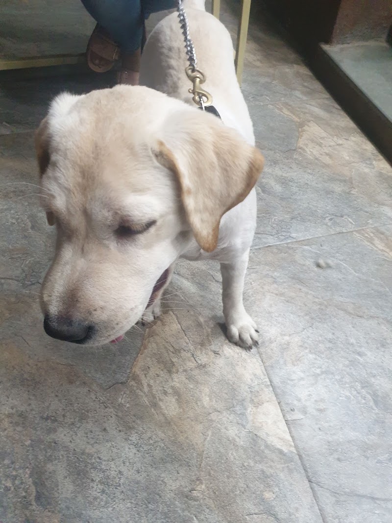 Dr. Onkar Pawaskar’s Petclinic @ Ghodbunder Road