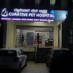 Curative Pet Hospital