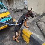 Vijay Pets Clinic