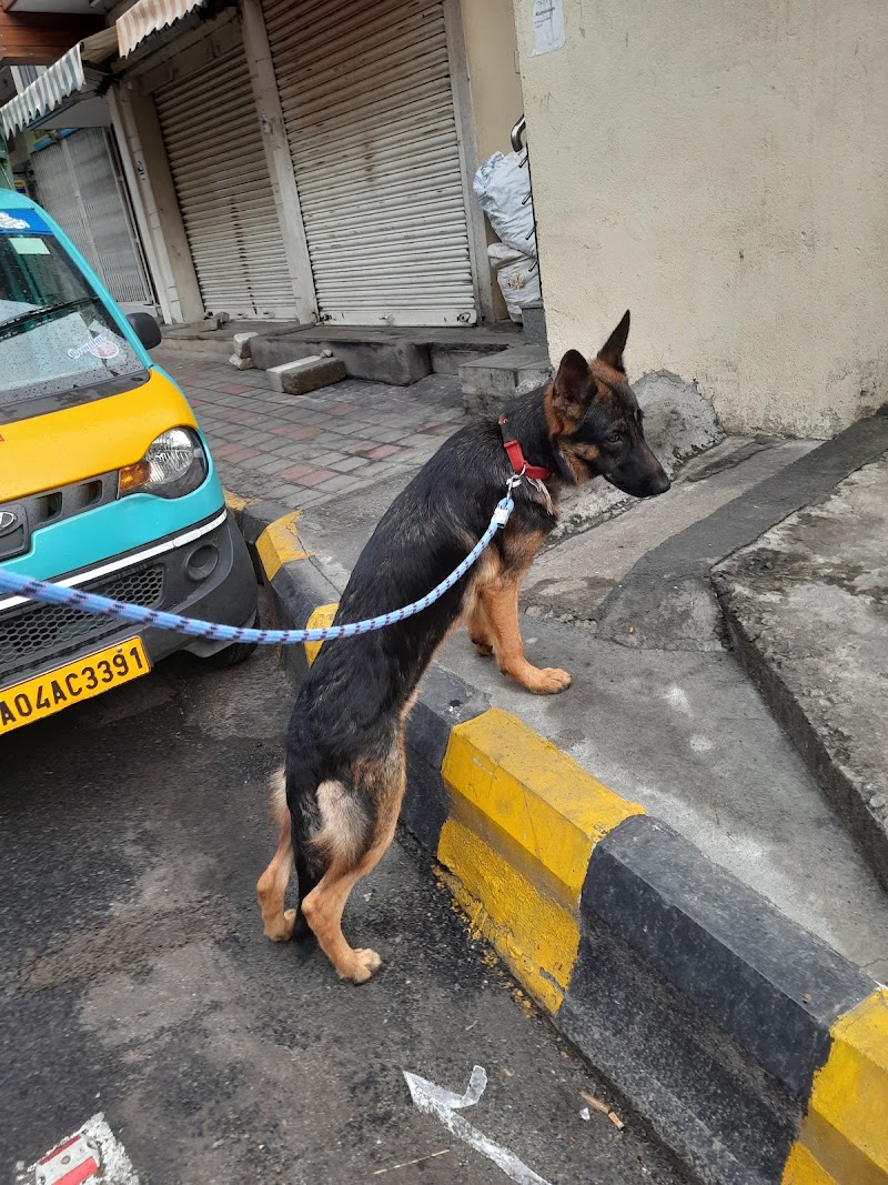 Vijay Pets Clinic