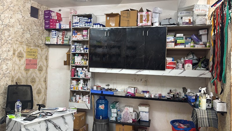 Urban Vet Clinic
