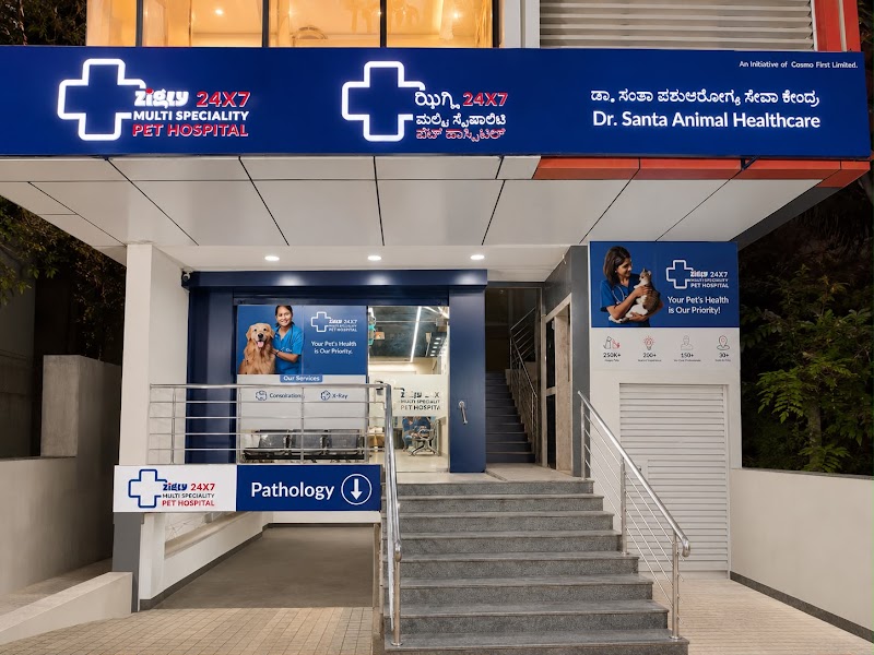 Zigly 24 X7 Multi Speciality Pet Hospital – Dr. Santa Animal Healthcare