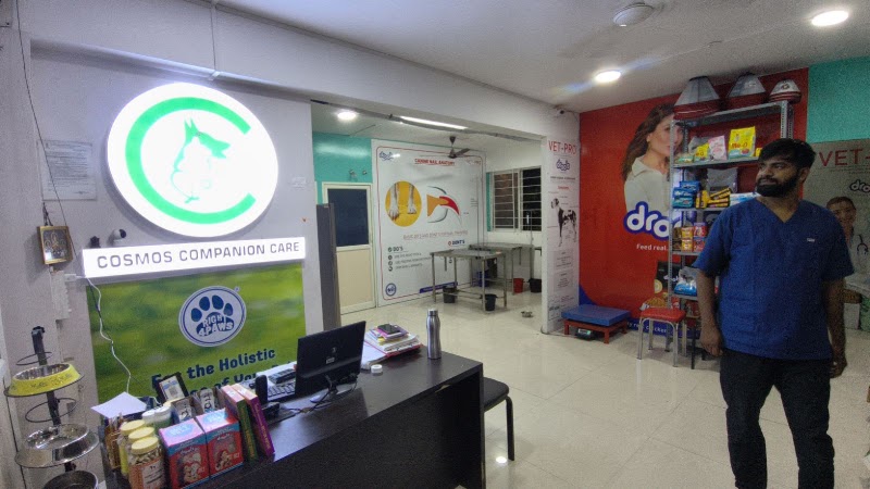 Cosmos Companion Care 24/7 | Best Pet Hospital BTM Layout
