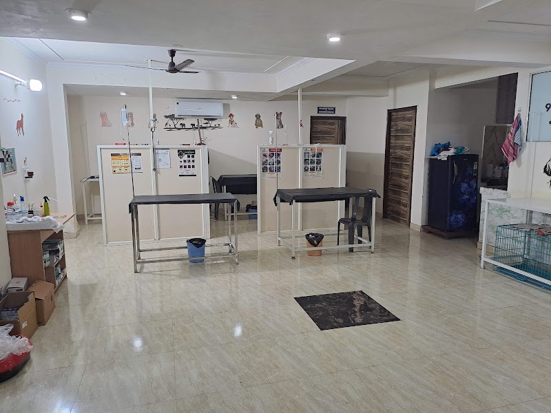 Sanjeevani Pet Clinic and Surgery