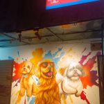 Shvan Development Foundation Pet Clinic Pet Grooming Pet Shop