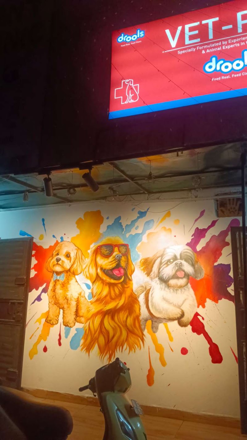 Shvan Development Foundation Pet Clinic Pet Grooming Pet Shop