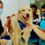 Neha Speciality Veterinary Hospital