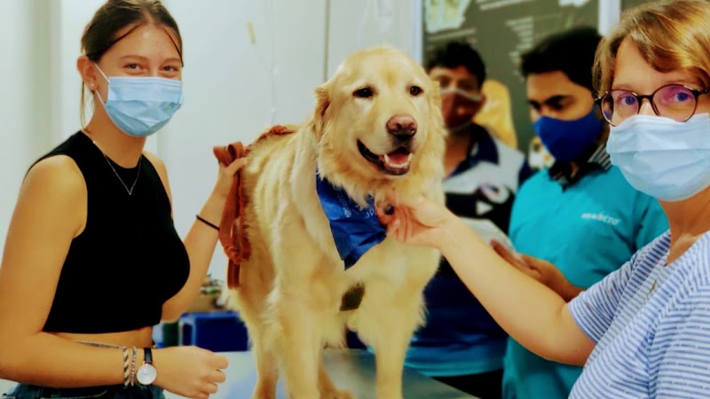 Neha Speciality Veterinary Hospital