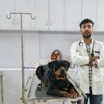 Noble care pet clinic