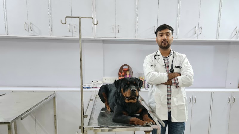 Noble care pet clinic
