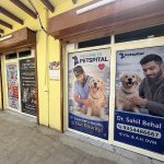 Petspital || Veterinary Pet Care Clinic for Dogs & Cats