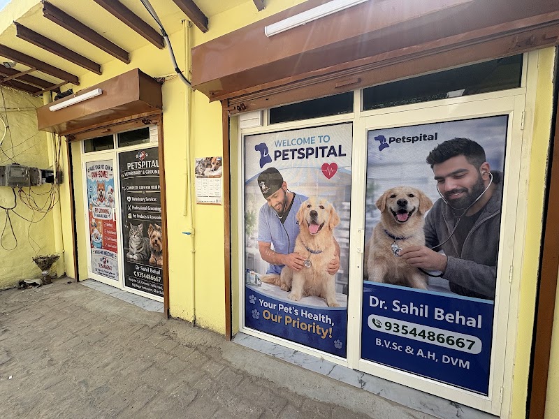 Petspital || Veterinary Pet Care Clinic for Dogs & Cats