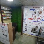 Dr Rutuja Bagwe’s Veterinary Clinic