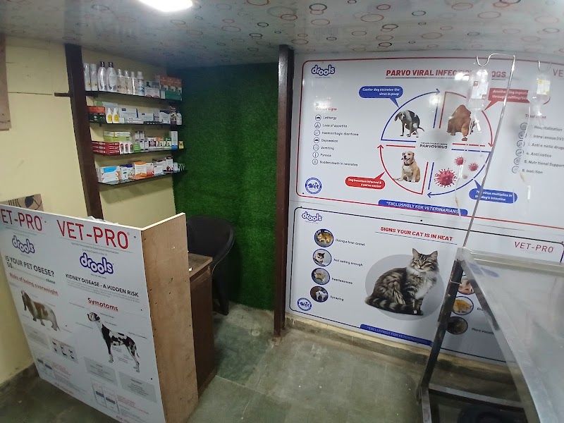 Dr Rutuja Bagwe’s Veterinary Clinic