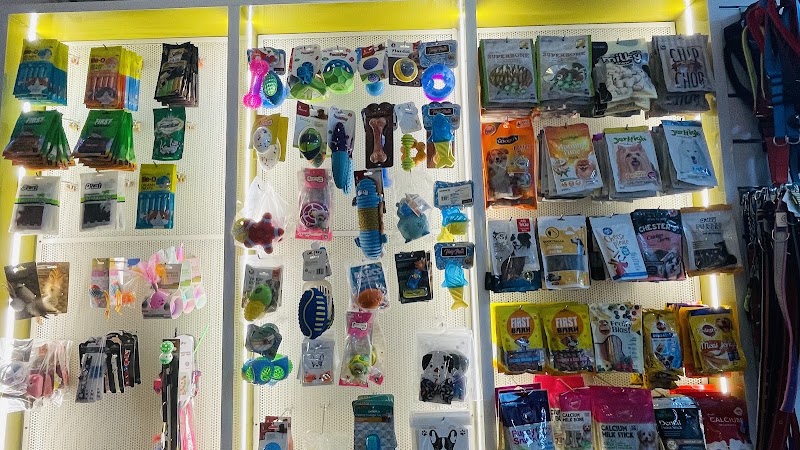 Pawsitive Pet Care & Clinic – Pet Clinic, Pet Grooming Centre & Store