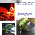 Sparsh Pet Clinic