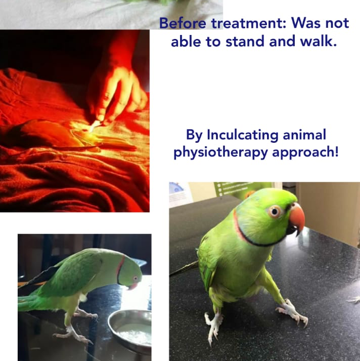 Sparsh Pet Clinic