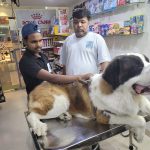 PET WELLNESS HOSPITAL