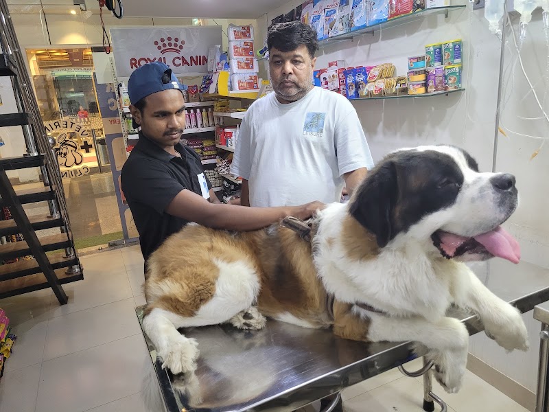 PET WELLNESS HOSPITAL