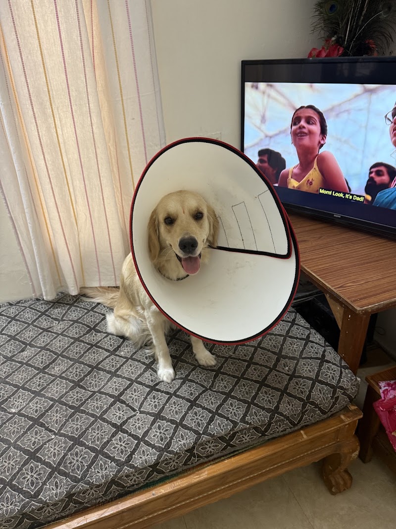 Vetcare pet clinic