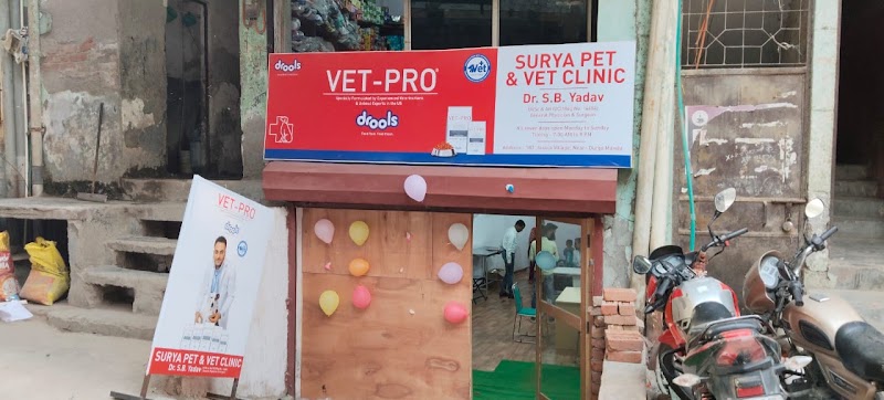 Surya pet and vet clinic