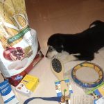 Dr. O’s Petshop and Petclinic @ Dombivli