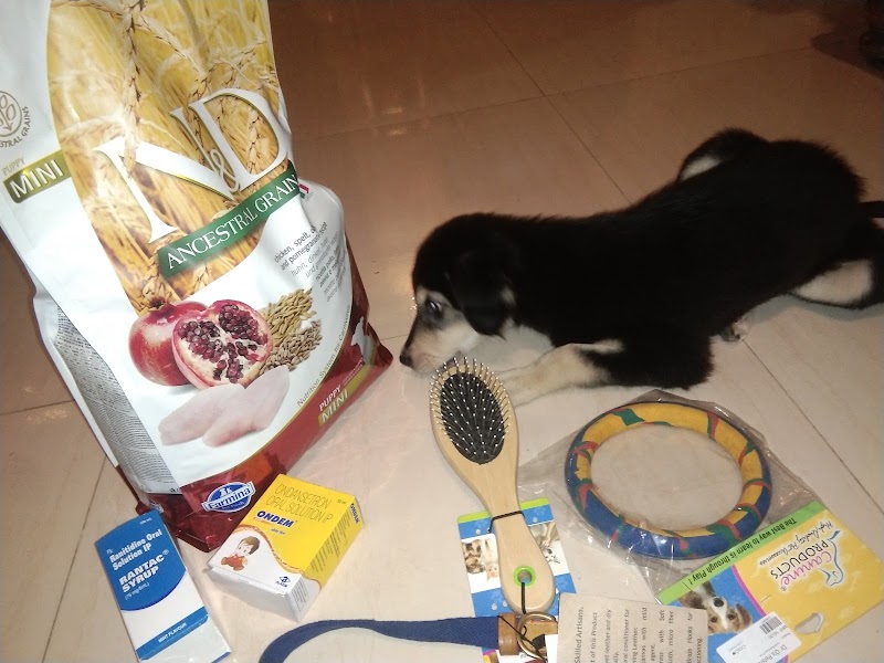 Dr. O’s Petshop and Petclinic @ Dombivli